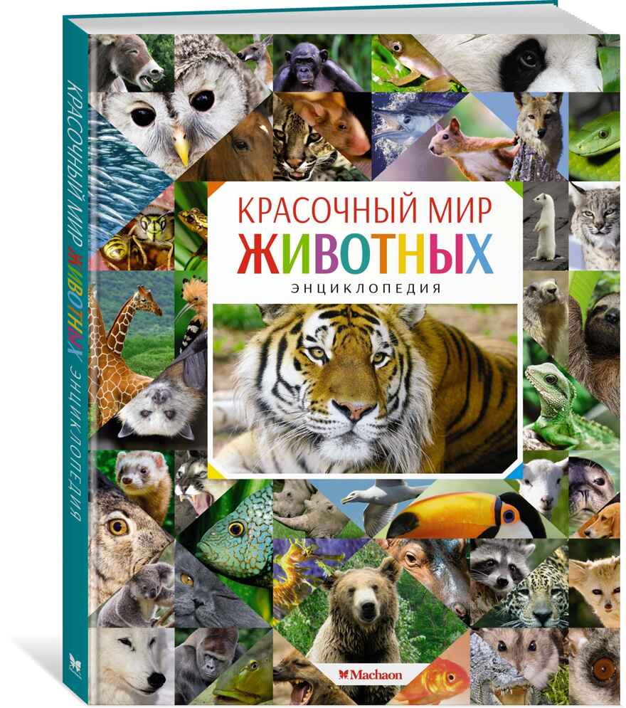 Красочный мир животных. Балле К. Энциклопедии, производитель Махаон , ISBN 978-5-38912-470-7, № 1