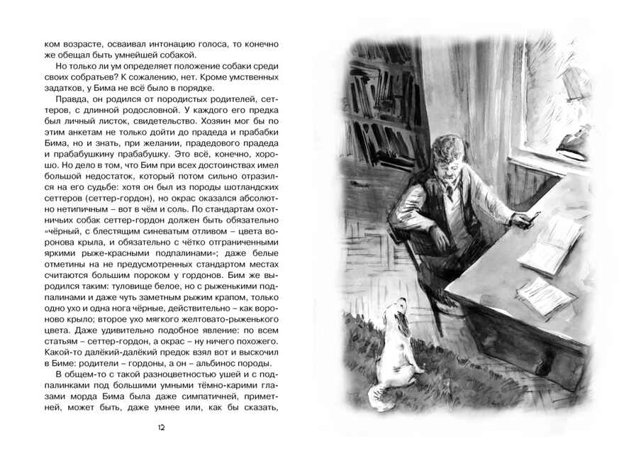 Белый Бим Чёрное ухо. Троепольский Г. Чтение-лучшее учение, производитель Махаон , ISBN 978-5-38910-244-6, № 2
