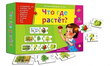 Ассоциации-цепочкой.что где растет, арт. Ин-9926, производитель Рыжий кот, ISBN 978-5-37809-926-9, № 1