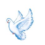 ФМ1-15587 Плакат вырубной А4. Голубь летит влево. Двухсторонний, производитель Сфера ТЦ , ISBN 463-0-11203-846-0, № 1