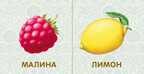Книжки-картонки. Фрукты и овощи. Моя самая первая книжка, производитель Робинс , ISBN 978-5-43660-299-8, № 7