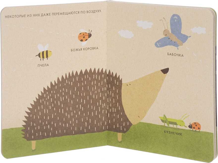 Мой маленький сад. Виле Катрин. Экокнига, производитель Самокат , ISBN 978-5-91759-606-8, № 2