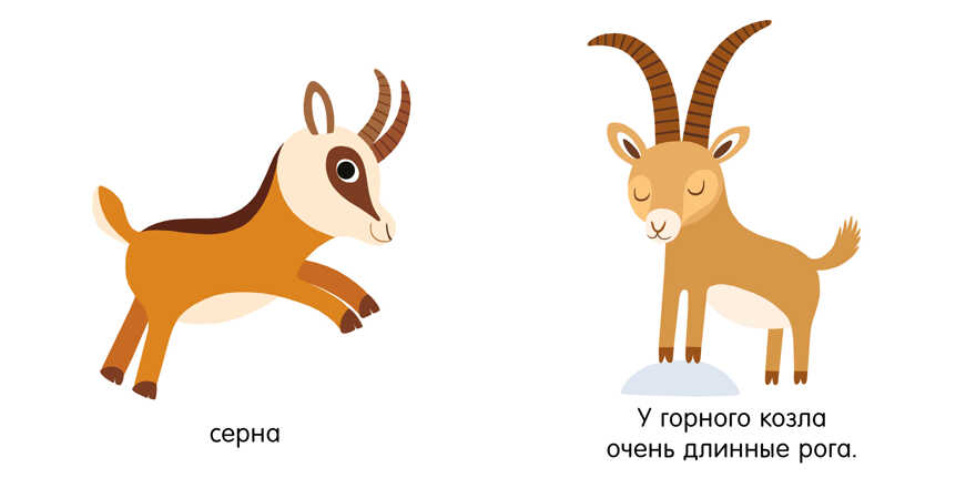 Мои первые слова. Животные. Первые книжки малыша, производитель Клевер (Clever) , ISBN 978-5-00115-718-2, № 5