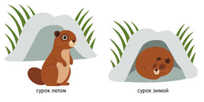Мои первые слова. Животные. Первые книжки малыша, производитель Клевер (Clever) , ISBN 978-5-00115-718-2№ 6