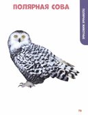 Главная книга малыша. Животные нашей планеты., производитель Проф-Пресс , ISBN 978-5-37834-259-4, № 5