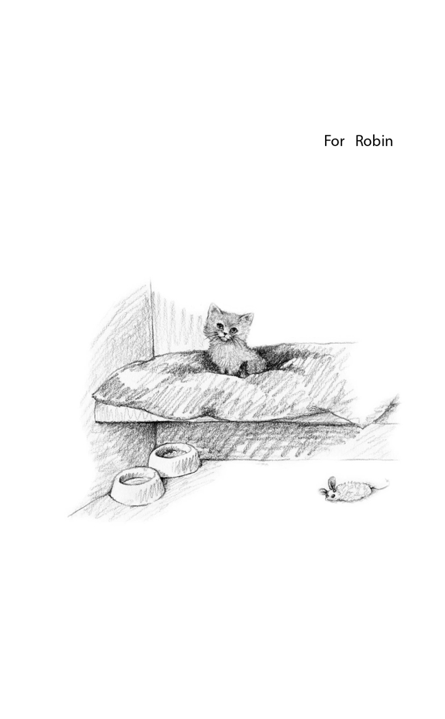 Котёнок Одуванчик, или Игра в прятки = Smudge the Stolen Kitten. Английский с Холли Вебб: билингва, производитель Эксмо , ISBN 978-5-04096-684-4, № 7