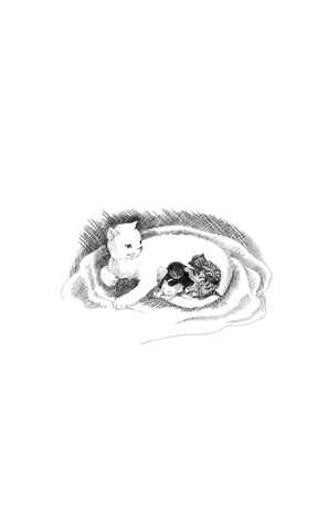 Котёнок Усатик, или Отважное сердце = The Kitten Nobody Wanted. Английский с Холли Вебб: билингва, производитель Эксмо , ISBN 978-5-04094-106-3№ 5