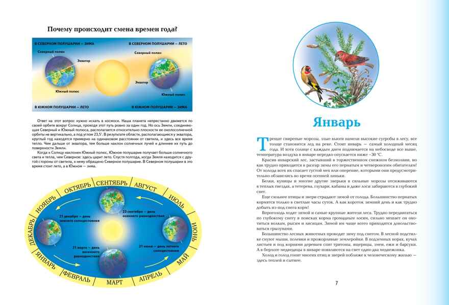 Времена года. Иллюстрированная энциклопедия, производитель Махаон , ISBN 978-5-38927-530-0, № 2