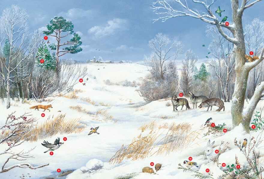 Времена года. Иллюстрированная энциклопедия, производитель Махаон , ISBN 978-5-38927-530-0, № 3