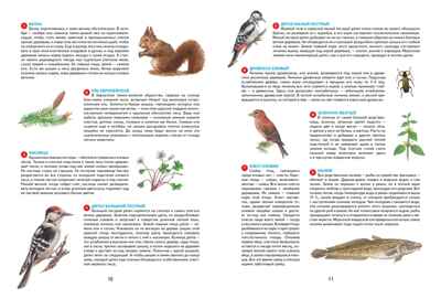 Времена года. Иллюстрированная энциклопедия, производитель Махаон , ISBN 978-5-38927-530-0№ 4