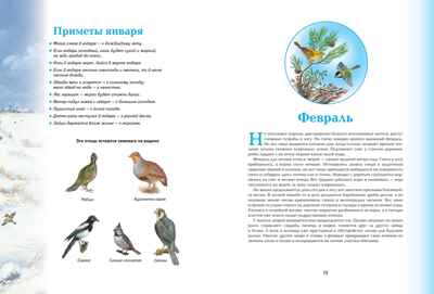 Времена года. Иллюстрированная энциклопедия, производитель Махаон , ISBN 978-5-38927-530-0№ 5