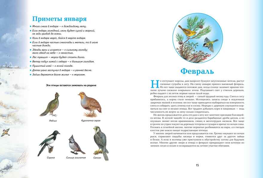 Времена года. Иллюстрированная энциклопедия, производитель Махаон , ISBN 978-5-38927-530-0, № 5