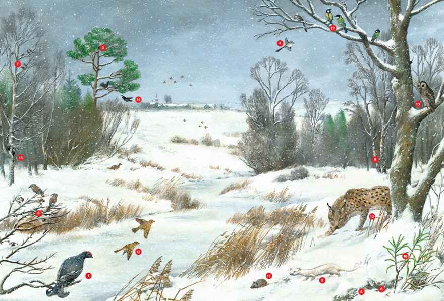 Времена года. Иллюстрированная энциклопедия, производитель Махаон , ISBN 978-5-38927-530-0, № 6