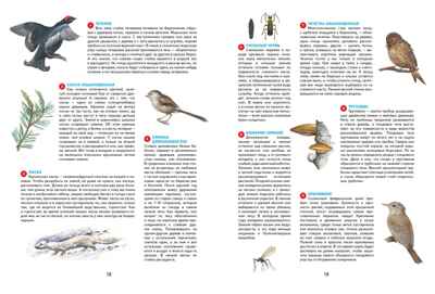 Времена года. Иллюстрированная энциклопедия, производитель Махаон , ISBN 978-5-38927-530-0№ 7