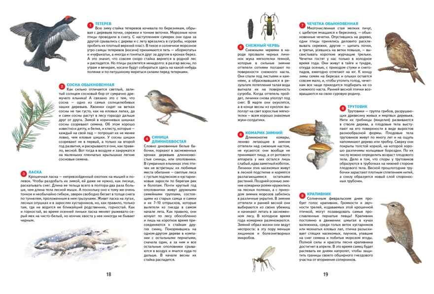 Времена года. Иллюстрированная энциклопедия, производитель Махаон , ISBN 978-5-38927-530-0, № 7