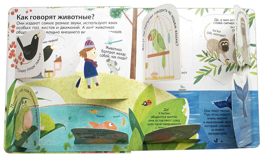 40 окошек. Как говорят животные. Самые первые вопросы и ответы, производитель Робинс , ISBN 978-5-43660-536-4, № 2