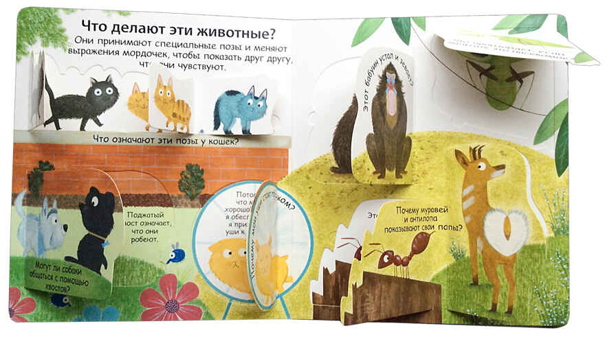 40 окошек. Как говорят животные. Самые первые вопросы и ответы, производитель Робинс , ISBN 978-5-43660-536-4, № 3