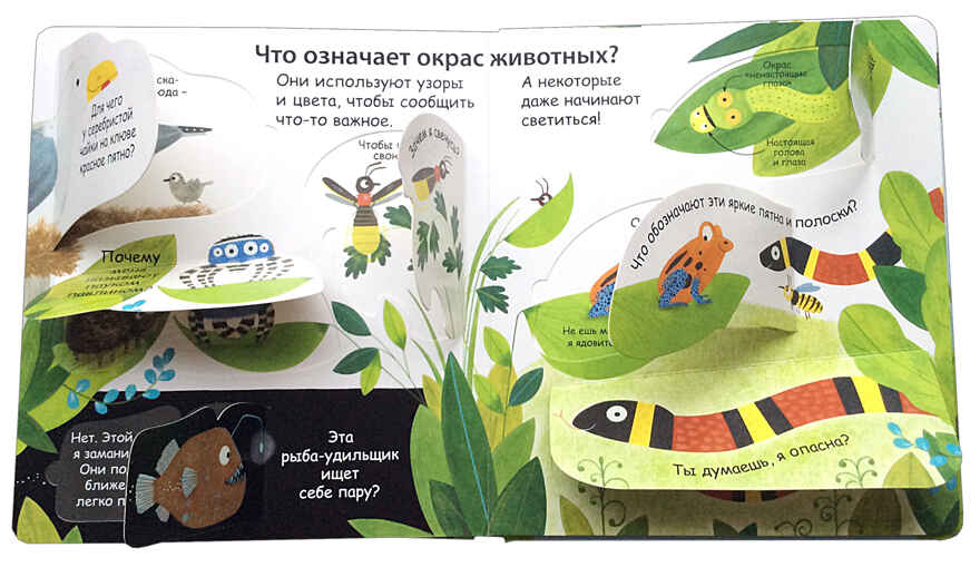 40 окошек. Как говорят животные. Самые первые вопросы и ответы, производитель Робинс , ISBN 978-5-43660-536-4, № 5