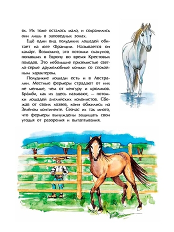 Кони. Дикие, благородные, знаменитые, производитель Настя и Никита , ISBN 978-5-90795-314-7№ 3