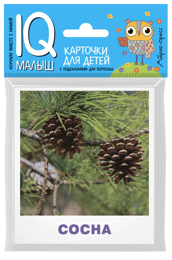 Умный малыш. Деревья. Малунова М.В. IQ-малыш, производитель Айрис-пресс , ISBN 978-5-81126-506-0, № 1