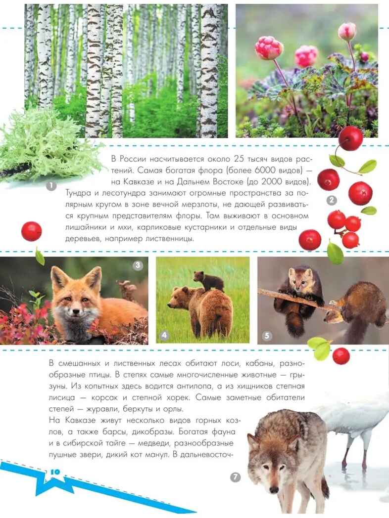 Разговоры о важном, производитель АСТ , ISBN 978-5-17152-964-2, № 12