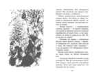Циркачи и сыщики. Блайтон Э. Детский детектив. Секретная семёрка, производитель Махаон , ISBN 978-5-38910-554-6, № 7