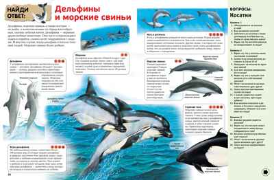 Интерактивная энциклопедия для школьников. Гиффорд К., Мейсон К., О'Брайен С. Энциклопедии, производитель Махаон , ISBN 978-5-38916-996-8№ 3