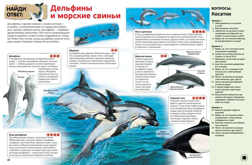 Интерактивная энциклопедия для школьников. Гиффорд К., Мейсон К., О'Брайен С. Энциклопедии, производитель Махаон , ISBN 978-5-38916-996-8, № 3