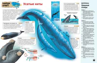 Интерактивная энциклопедия для школьников. Гиффорд К., Мейсон К., О'Брайен С. Энциклопедии, производитель Махаон , ISBN 978-5-38916-996-8№ 4