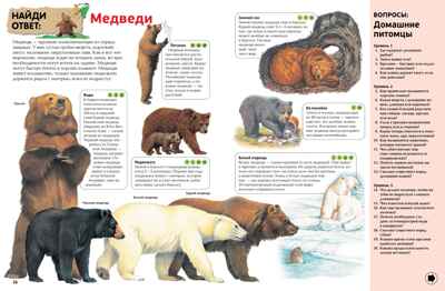 Интерактивная энциклопедия для школьников. Гиффорд К., Мейсон К., О'Брайен С. Энциклопедии, производитель Махаон , ISBN 978-5-38916-996-8№ 6