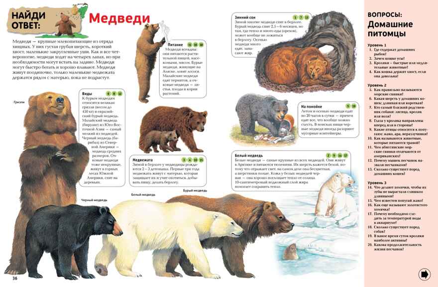 Интерактивная энциклопедия для школьников. Гиффорд К., Мейсон К., О'Брайен С. Энциклопедии, производитель Махаон , ISBN 978-5-38916-996-8, № 6