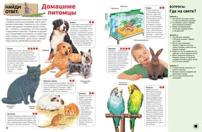 Интерактивная энциклопедия для школьников. Гиффорд К., Мейсон К., О'Брайен С. Энциклопедии, производитель Махаон , ISBN 978-5-38916-996-8№ 7