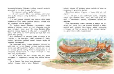ДХЛ. Приключения Уйки Лопатина-Кибис Елена, производитель Стрекоза , ISBN 978-5-99515-259-0№ 4