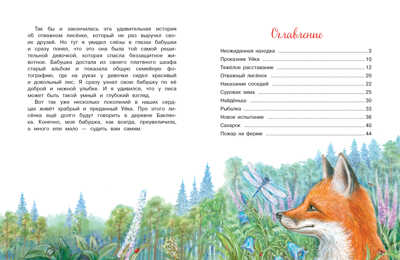ДХЛ. Приключения Уйки Лопатина-Кибис Елена, производитель Стрекоза , ISBN 978-5-99515-259-0№ 5