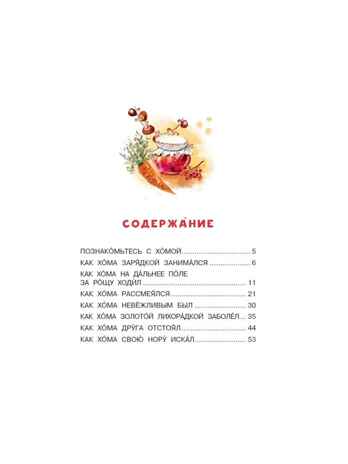 Приключения Хомы и Суслика, производитель АСТ , ISBN 978-5-17148-272-5 № 2