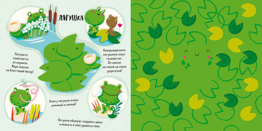 Веселые прятки. Найди меня, производитель Клевер (Clever) , ISBN 978-5-00115-184-5, № 6