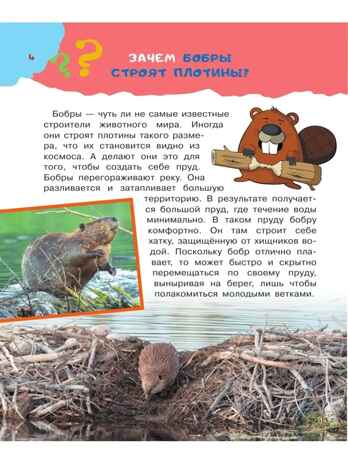 100 тысяч почему. Бобков П.В., Булай Е.В. 100 тысяч почему, производитель АСТ , ISBN 978-5-17135-198-4 № 3