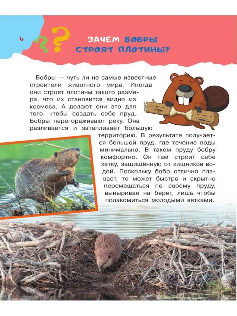 100 тысяч почему. Бобков П.В., Булай Е.В. 100 тысяч почему, производитель АСТ , ISBN 978-5-17135-198-4, № 3