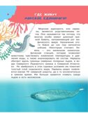 100 тысяч почему. Бобков П.В., Булай Е.В. 100 тысяч почему, производитель АСТ , ISBN 978-5-17135-198-4, № 5