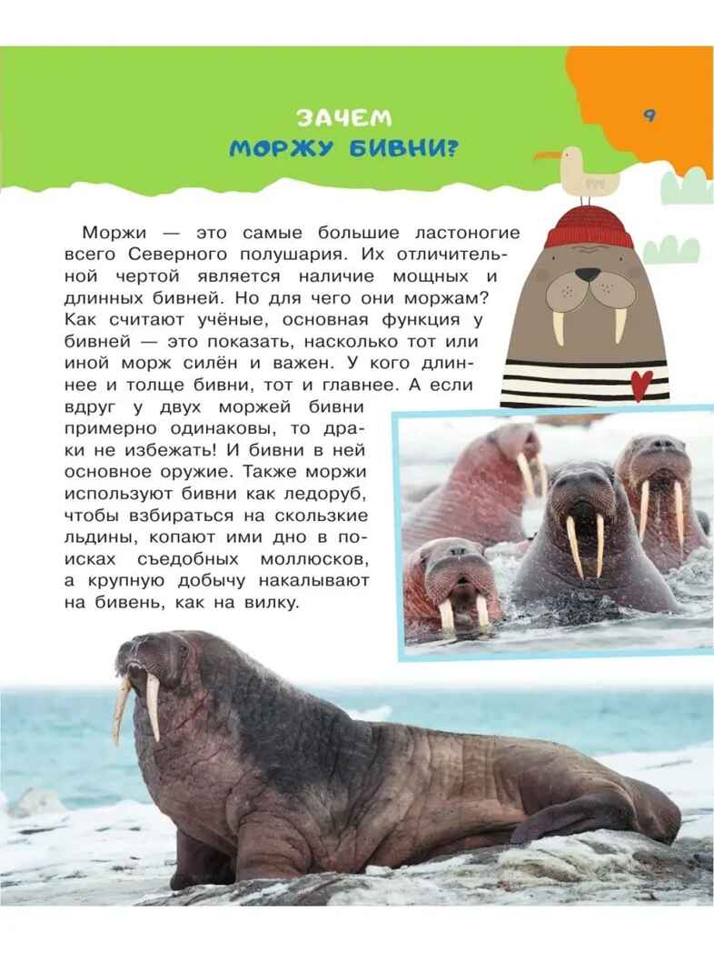 100 тысяч почему. Бобков П.В., Булай Е.В. 100 тысяч почему, производитель АСТ , ISBN 978-5-17135-198-4, № 8