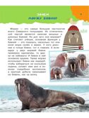 100 тысяч почему. Бобков П.В., Булай Е.В. 100 тысяч почему, производитель АСТ , ISBN 978-5-17135-198-4, № 8