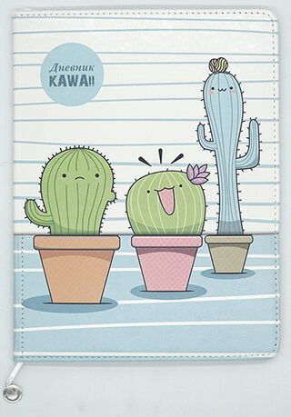 Дневник унив. обл. кожзам с декором "Карман. Веселые кактусы", арт. С3757-02, производитель Апплика, ISBN 463-0-11510-905-1№ 1