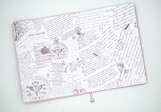 Дневник унив. обл. кожзам с декором "Карман. Веселые кактусы", арт. С3757-02, производитель Апплика, ISBN 463-0-11510-905-1, № 2