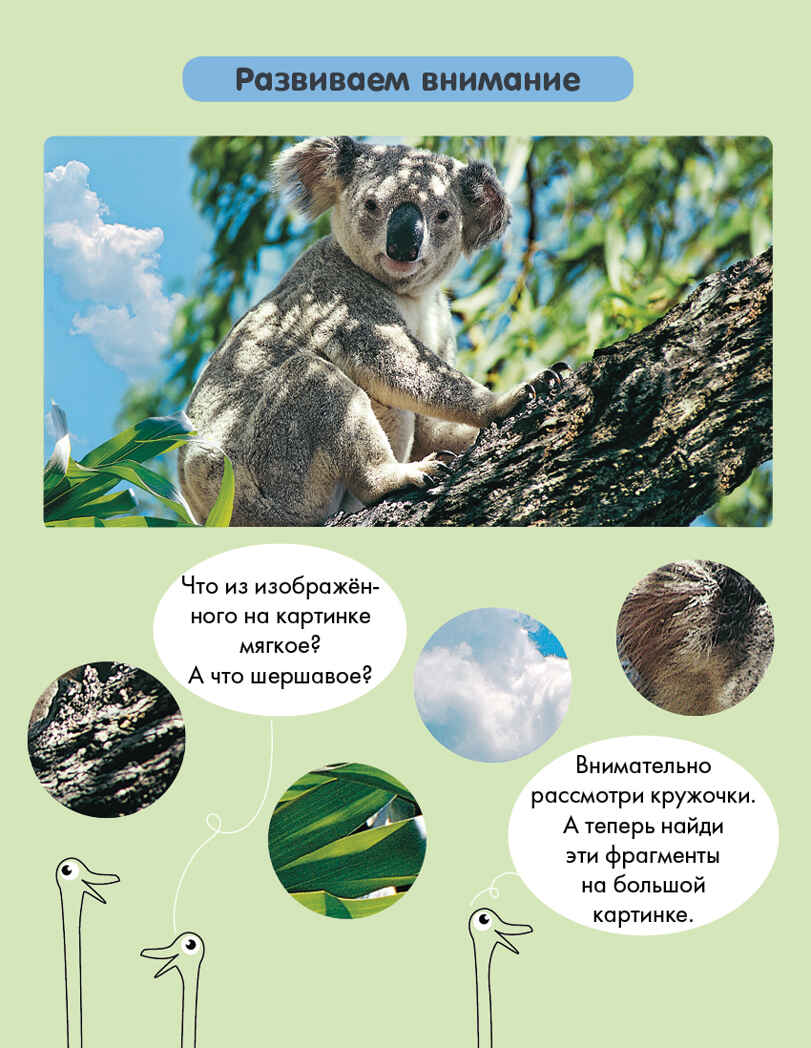 Суперзнатоки. Блокноты. 40 суперразвивающих заданий. 5-6 лет. Суперзнатоки. Блокноты, производитель Клевер (Clever) , ISBN 978-5-90692-970-9, № 4