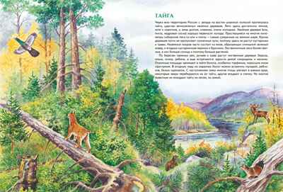 Природа России. Иллюстрированная энциклопедия, производитель Махаон , ISBN 978-5-38927-440-2№ 5