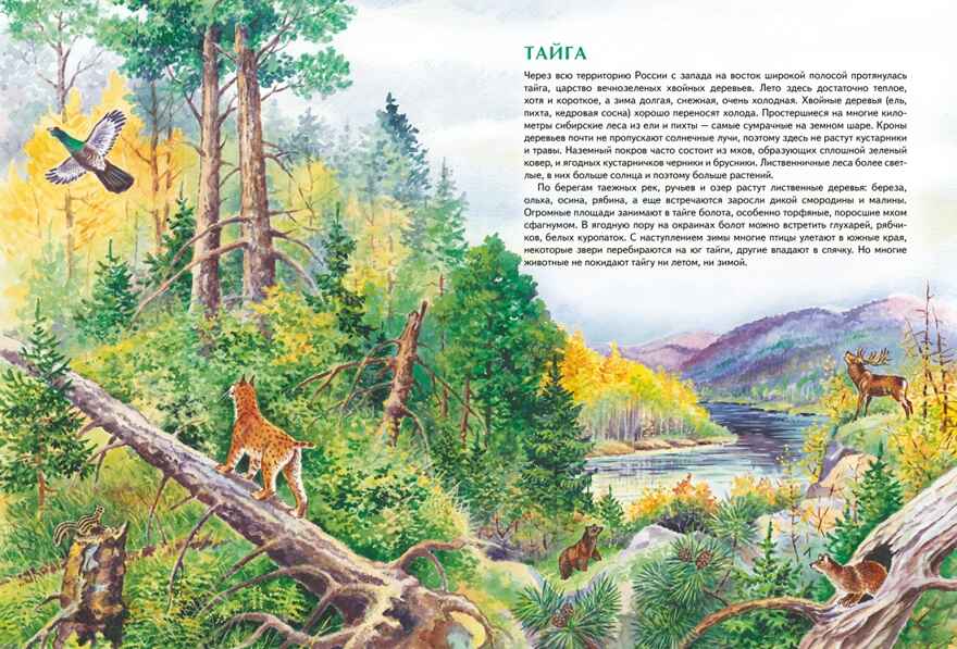 Природа России. Иллюстрированная энциклопедия, производитель Махаон , ISBN 978-5-38927-440-2, № 5