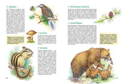 Природа России. Иллюстрированная энциклопедия, производитель Махаон , ISBN 978-5-38927-440-2№ 6