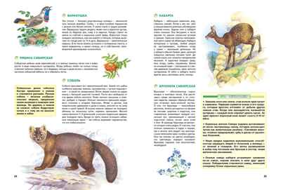 Природа России. Иллюстрированная энциклопедия, производитель Махаон , ISBN 978-5-38927-440-2№ 7