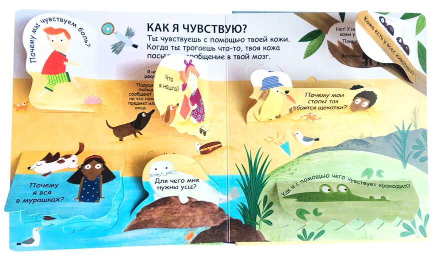 40 окошек. Как я вижу, слышу и чувствую. Самые первые вопросы и ответы, производитель Робинс , ISBN 978-5-43660-533-3, № 2