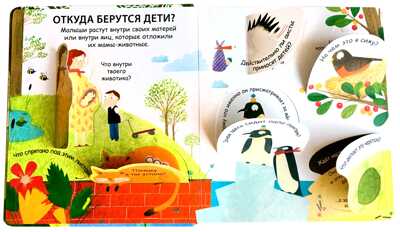 40 окошек. Откуда берутся дети. Самые первые вопросы и ответы, производитель Робинс , ISBN 978-5-43660-523-4№ 2